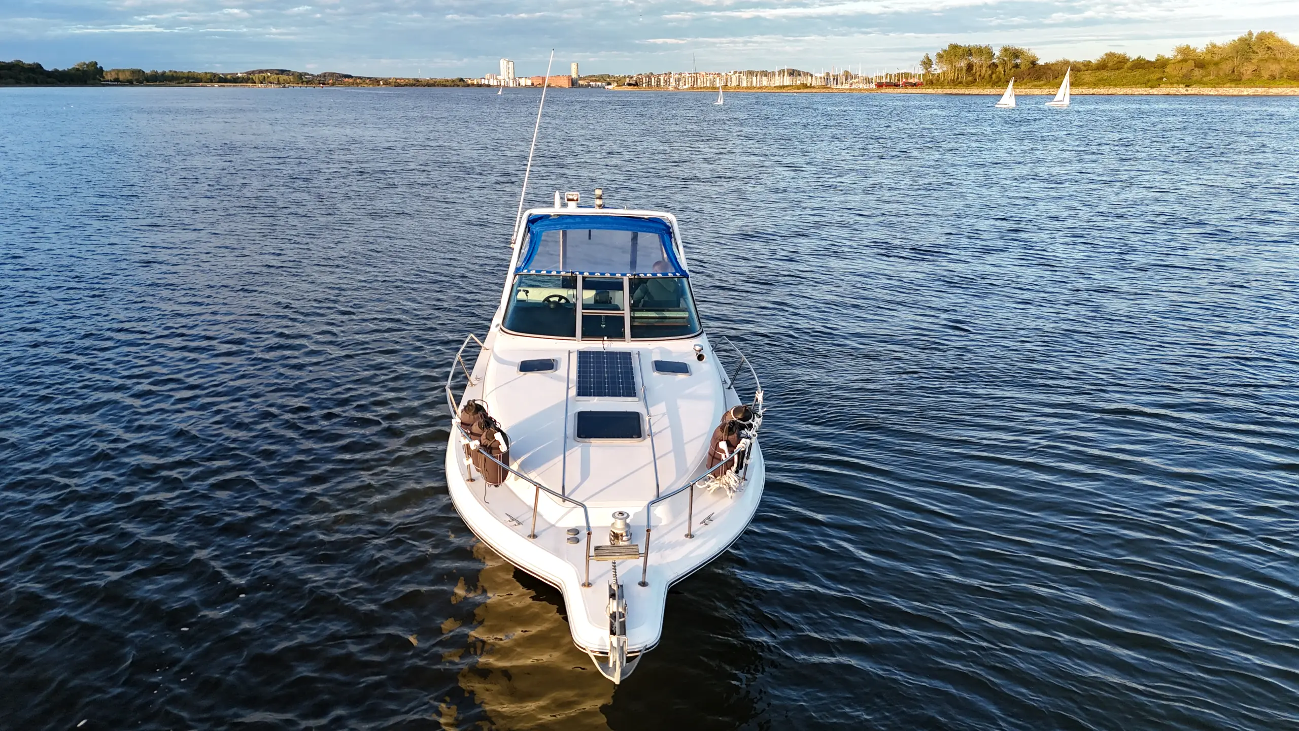 sea-ray-290-til-salg (4)