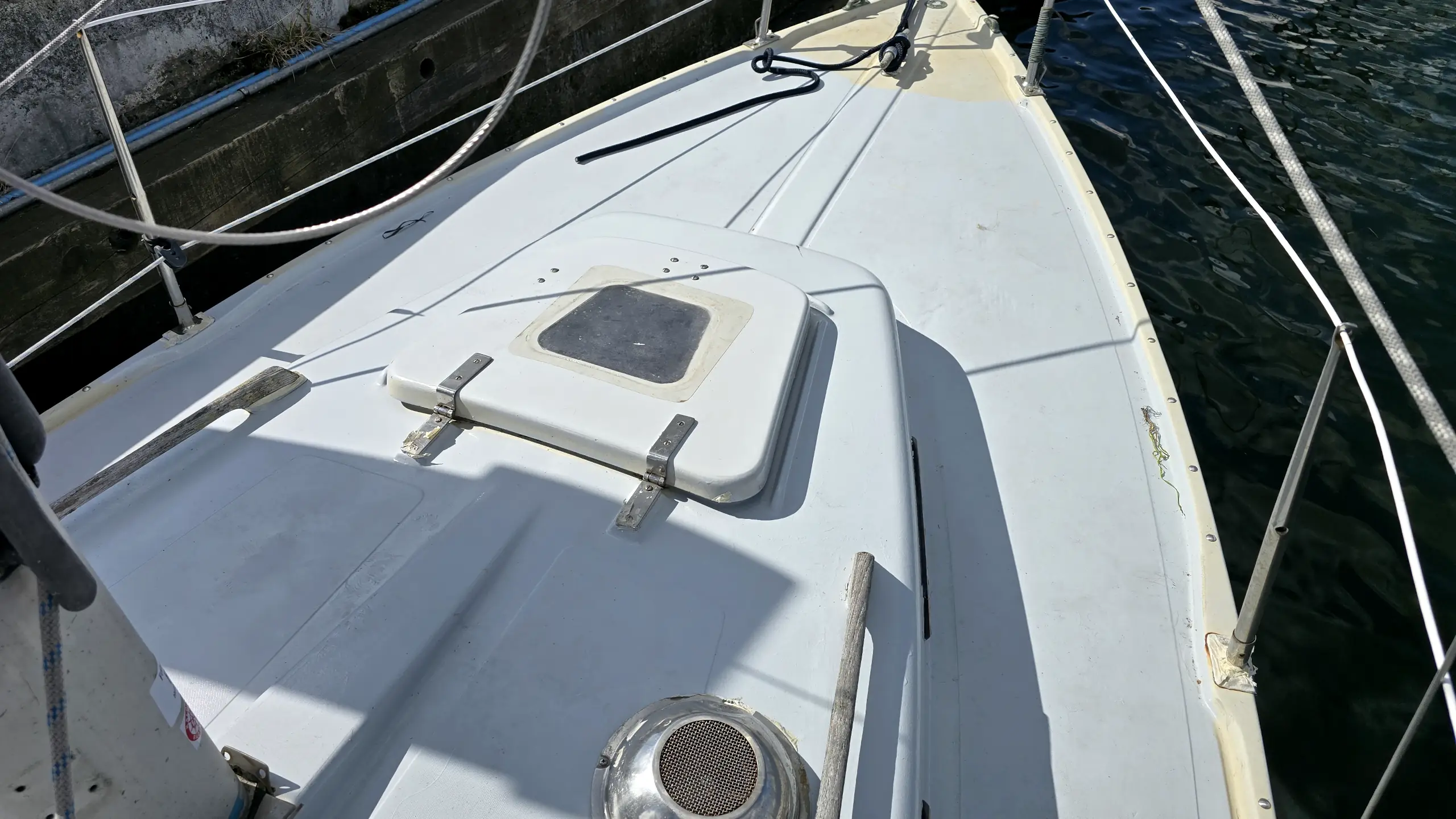 albin-vega-for-sale (1)