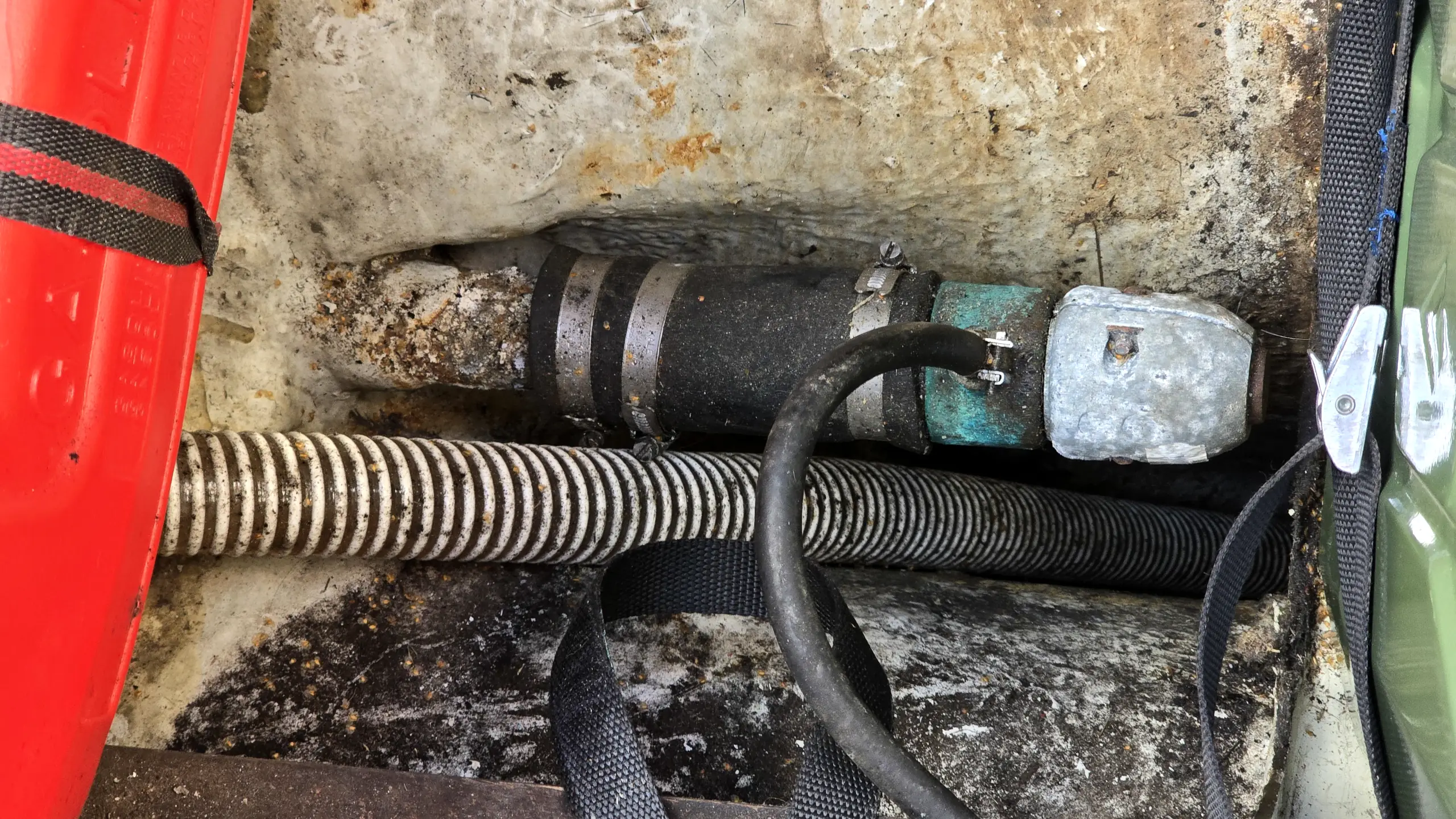 albin-vega-til-salg (6) albin vega till salu