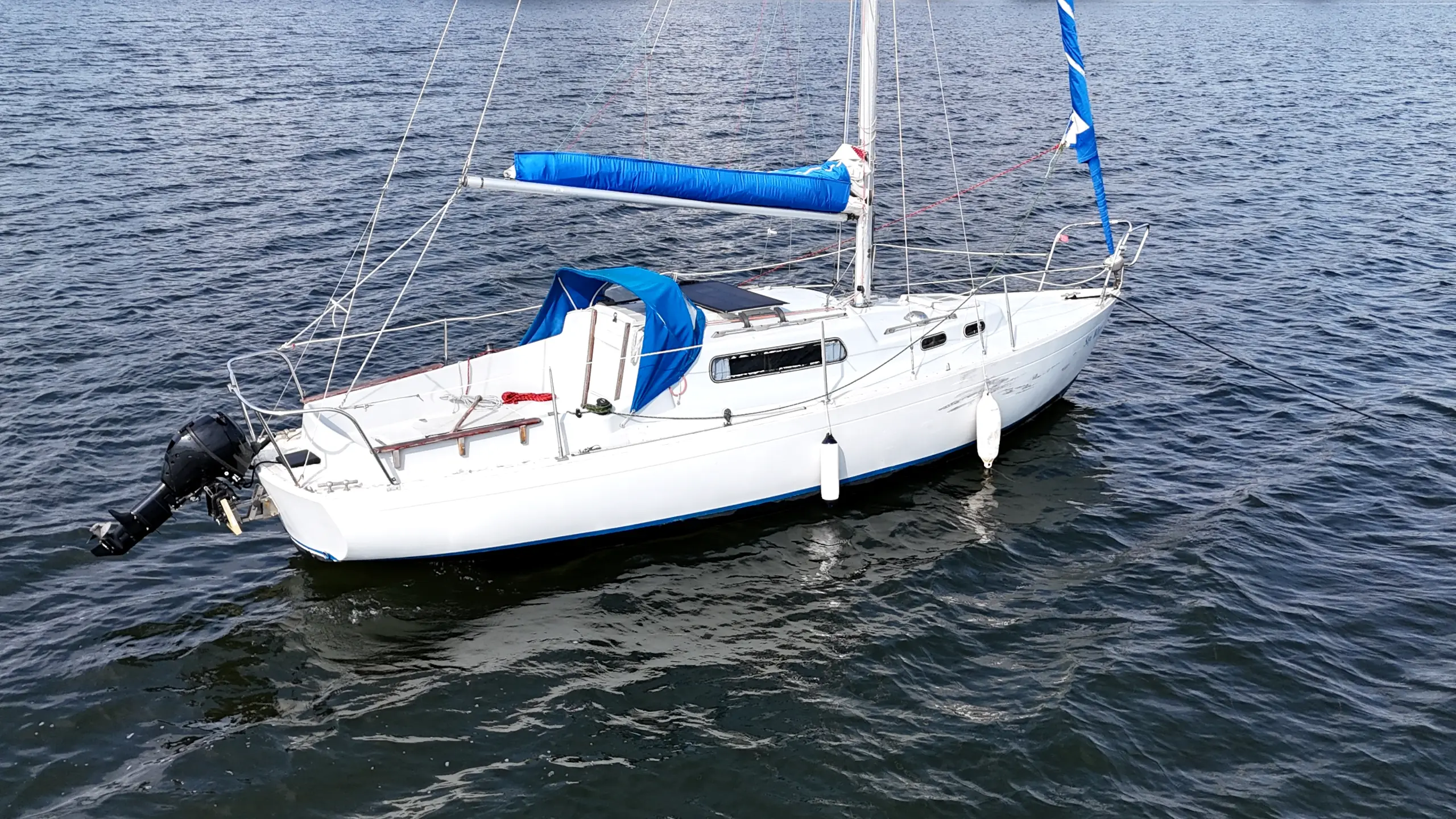 albin-vega-til-salg (7) albin vega for sale