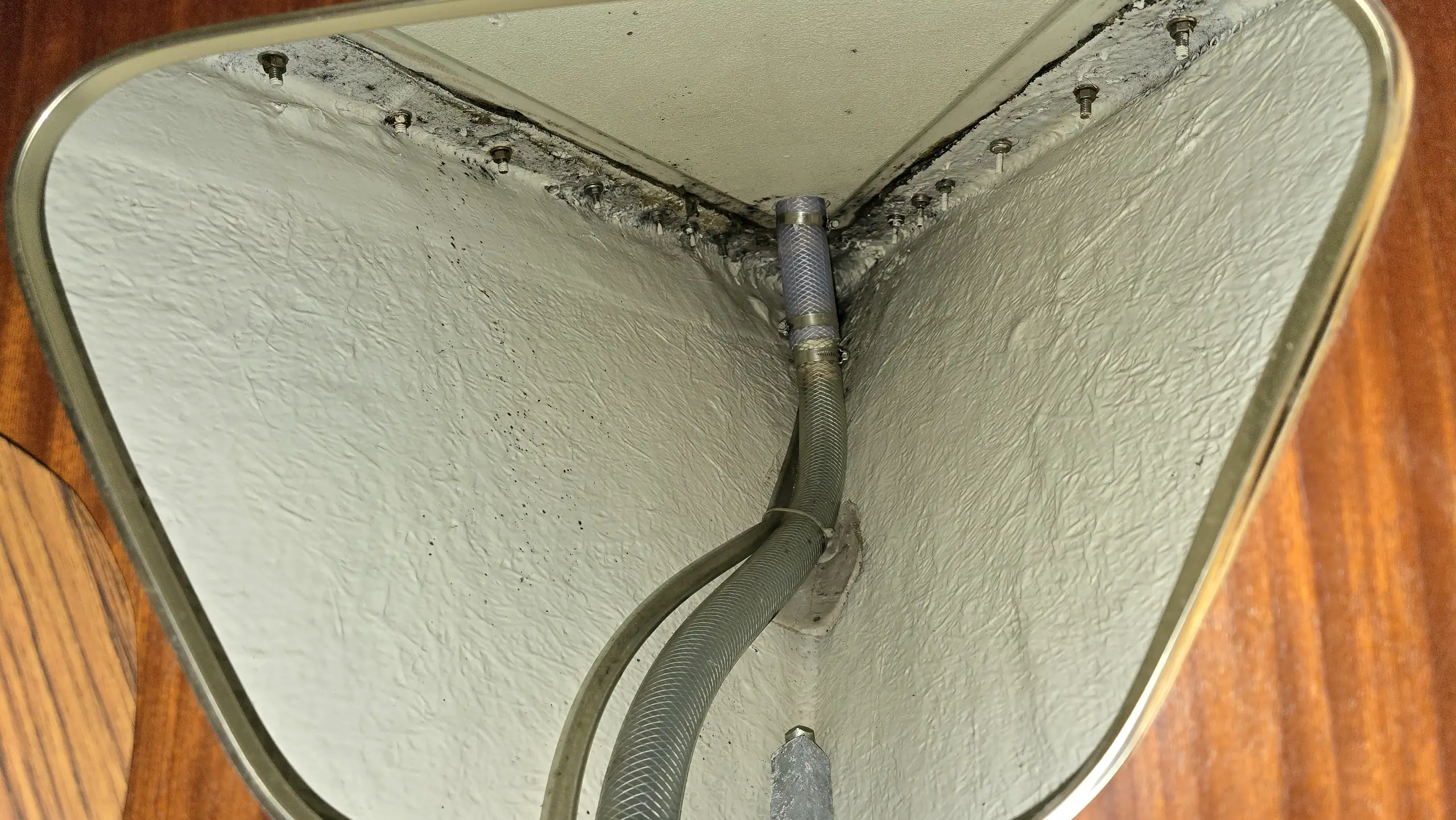 albin-ballad-for-sale (15) albin-ballad-for-sale