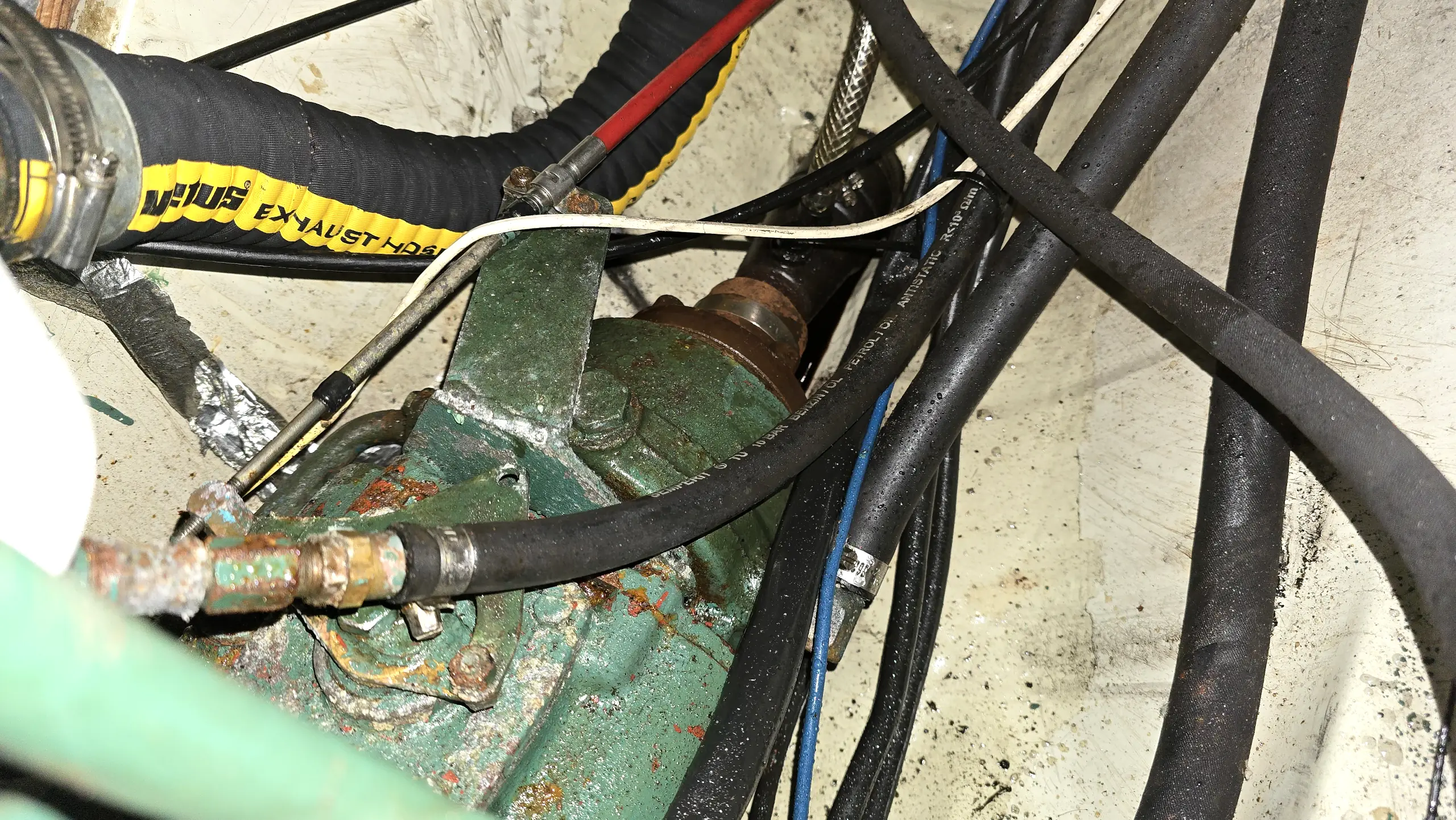 albin-ballad-zu-verkauf (4)