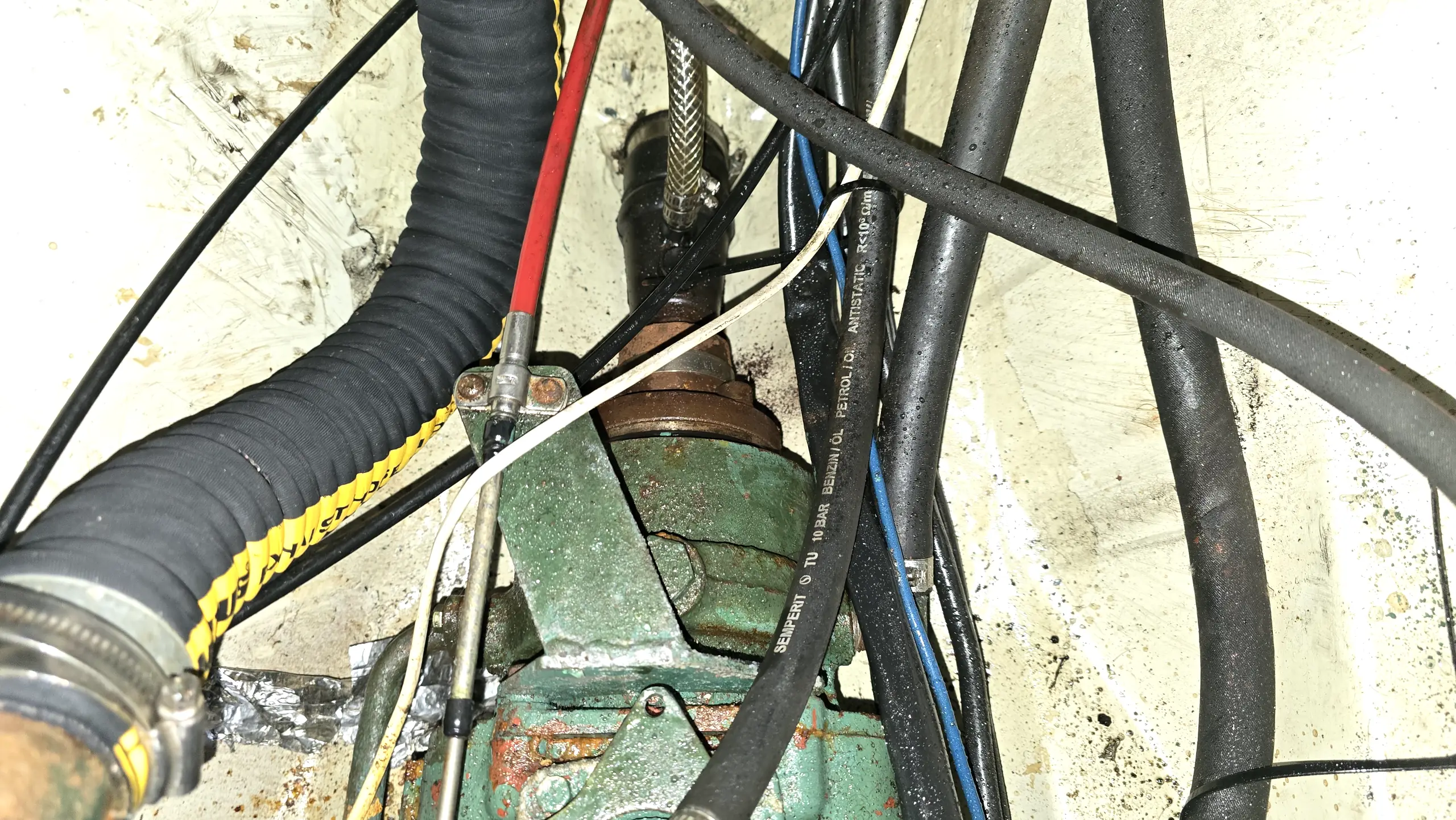 albin-ballad-zu-verkauf (5)